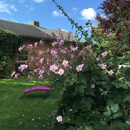 Min Luett Huett Apartamento Rieseby
